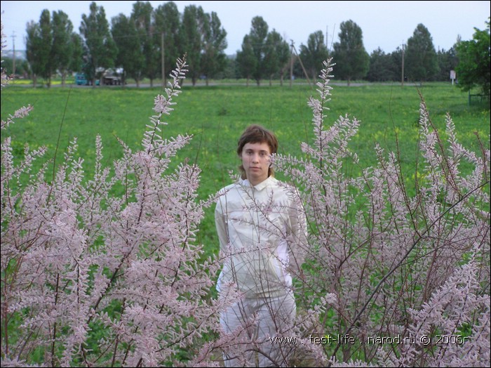 для перехода к следующей фотографии 
кликнуть мышкой