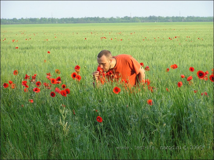 для перехода к следующей фотографии 
кликнуть мышкой