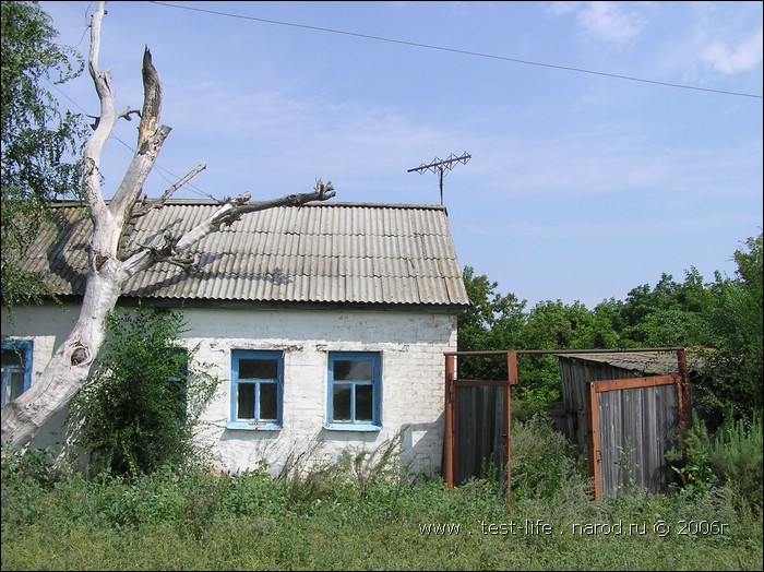 для перехода к следующей фотографии 
кликнуть мышкой
    фото: P8090453.JPG