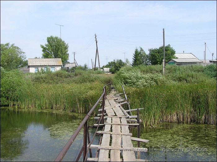 для перехода к следующей фотографии 
кликнуть мышкой
    фото: P8090454.JPG