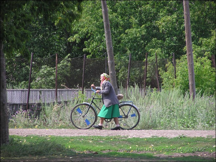 для перехода к следующей фотографии 
кликнуть мышкой
    фото: P8090462.JPG