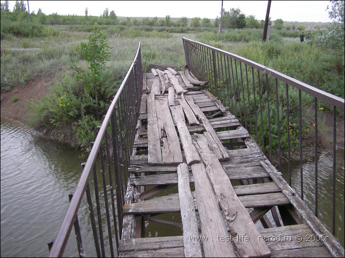 для перехода к следующей фотографии 
кликнуть мышкой
    фото: P8090522.JPG