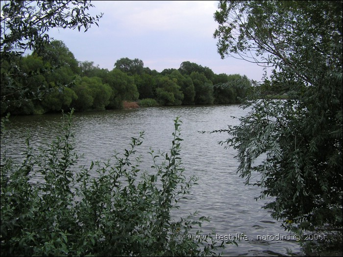 для перехода к следующей фотографии 
кликнуть мышкой
    фото: P8090525.JPG