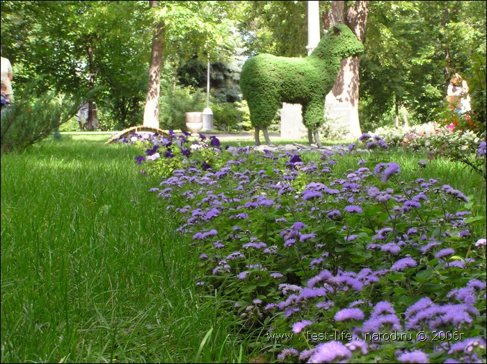 для перехода к следующей фотографии 
кликнуть мышкой
    фото: city_Samara_P8120649.JPG