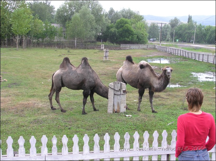 для перехода к следующей фотографии 
кликнуть мышкой
    фото: city_hvalynsk_P8070377.JPG