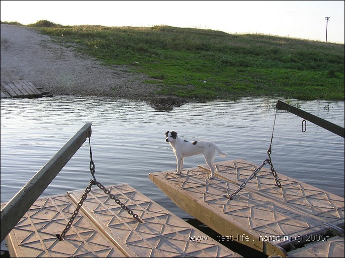 для перехода к следующей фотографии 
кликнуть мышкой
    фото: pontoon_oka_P8161103.JPG