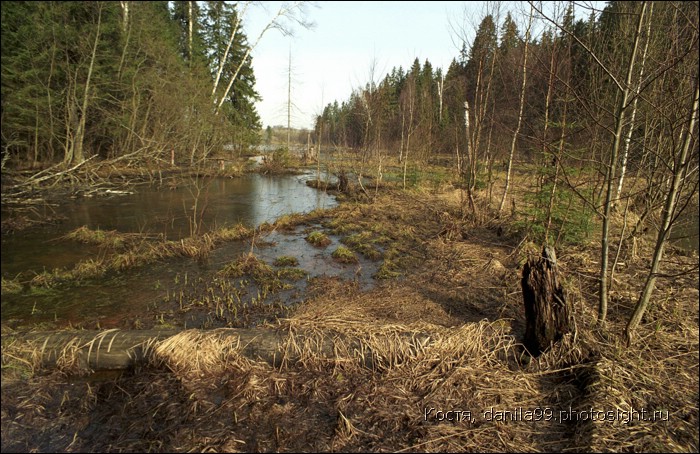 для перехода к следующей фотографии 
кликнуть мышкой